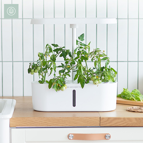 [잇츠웰] 홈그린 스마트팜 식물재배기 ITS-S001W